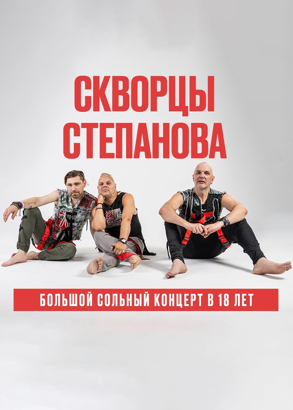 Скворцы Степанова