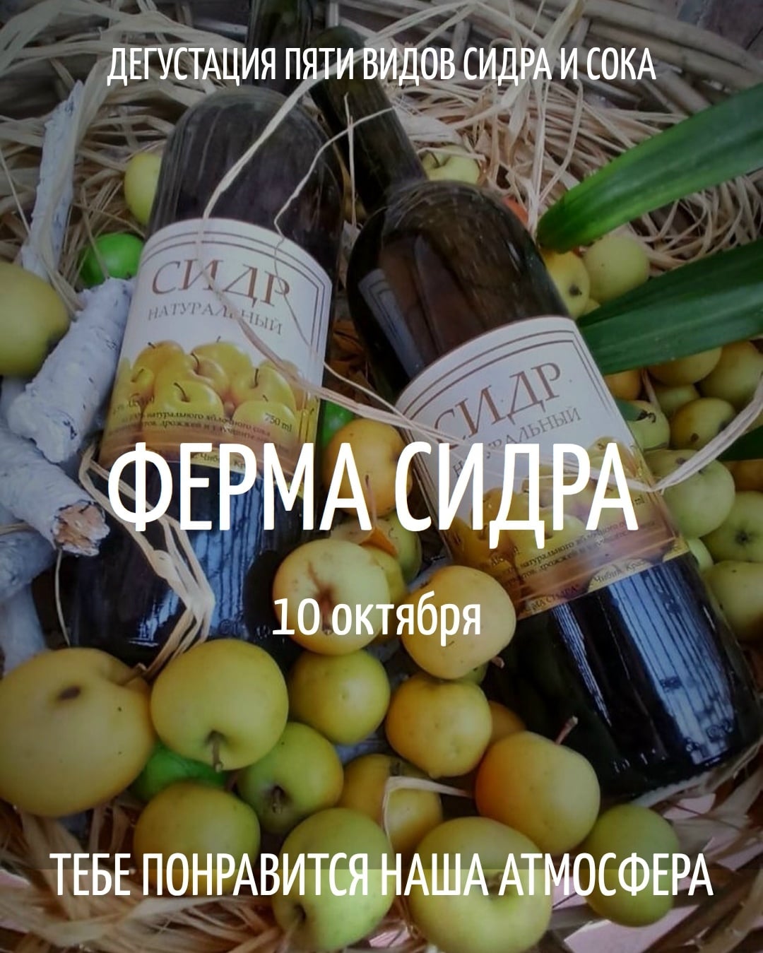 Сид рер рия | Праздник яблока, вечеринка и дегустация | 10 октября