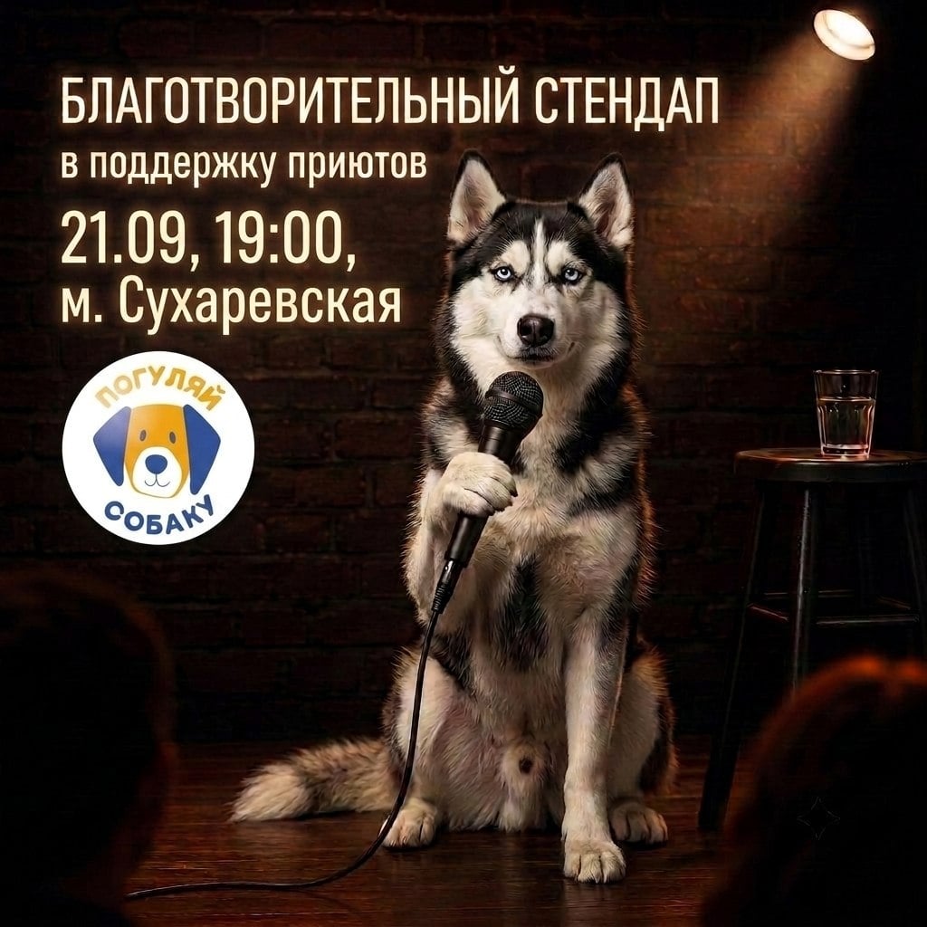 Приходи на благотворительный стендап в пользу приюта "Велес"!