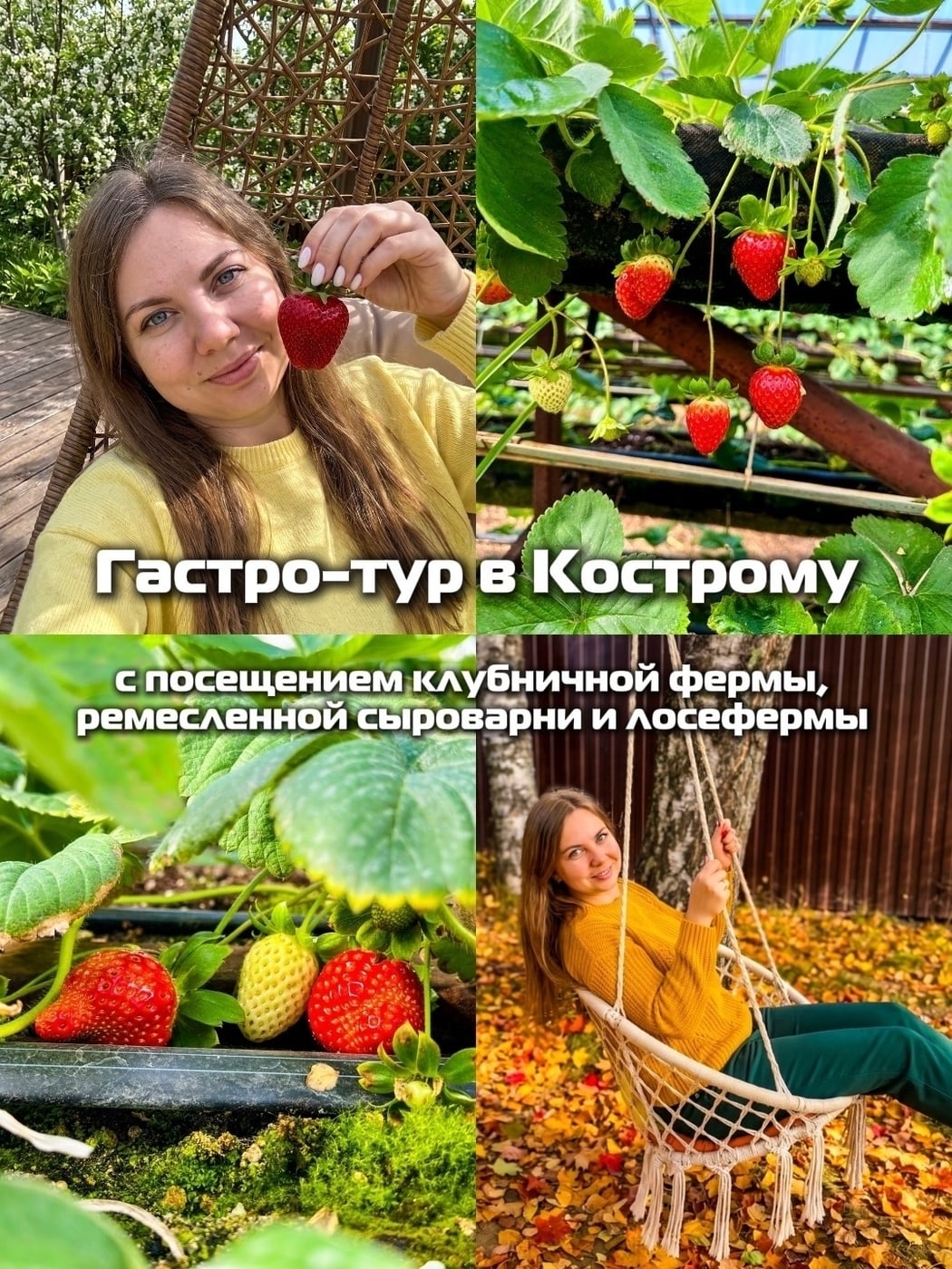 26 сентября 2026 - КОСТРОМА: КЛУБНИЧНОЕ НАСТРОЕНИЕ
