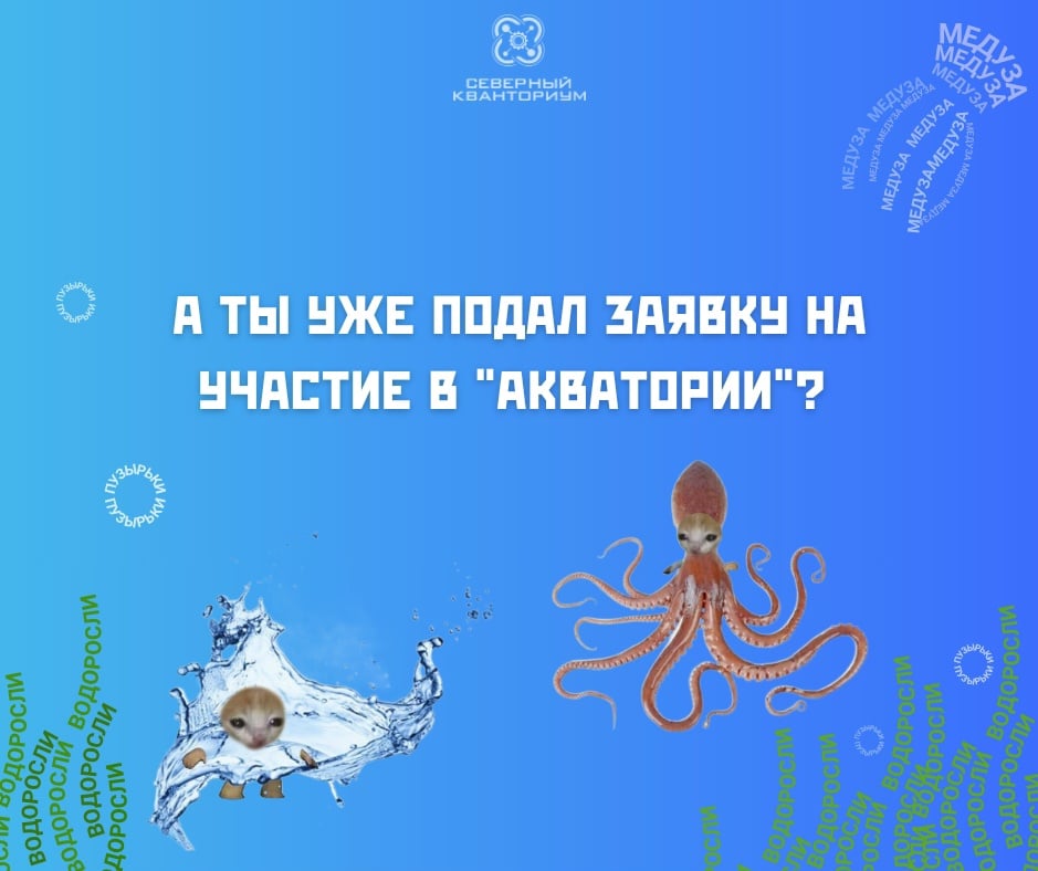 Регистрация на конкурс открытого фестиваля "Акватория"