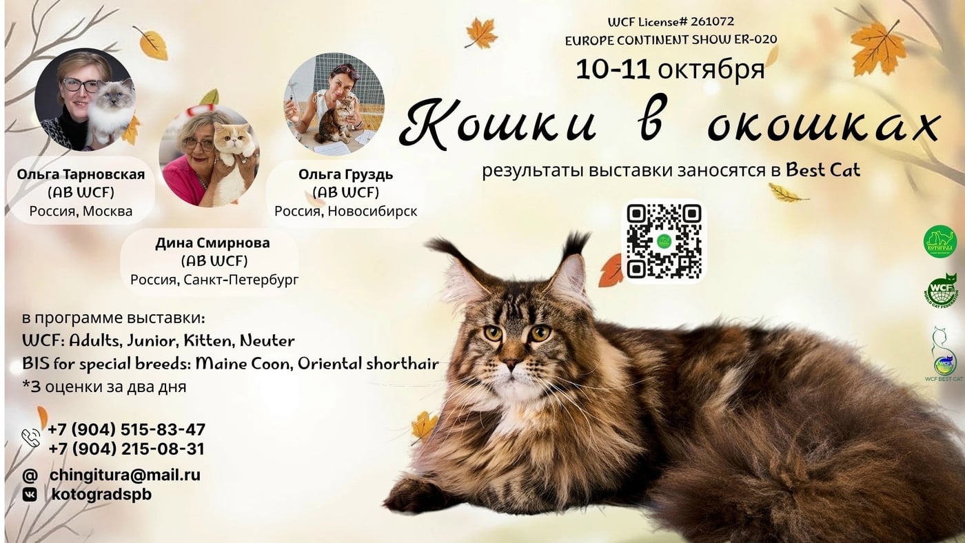 Объединение Любителей Кошек "КОТОГРАД"