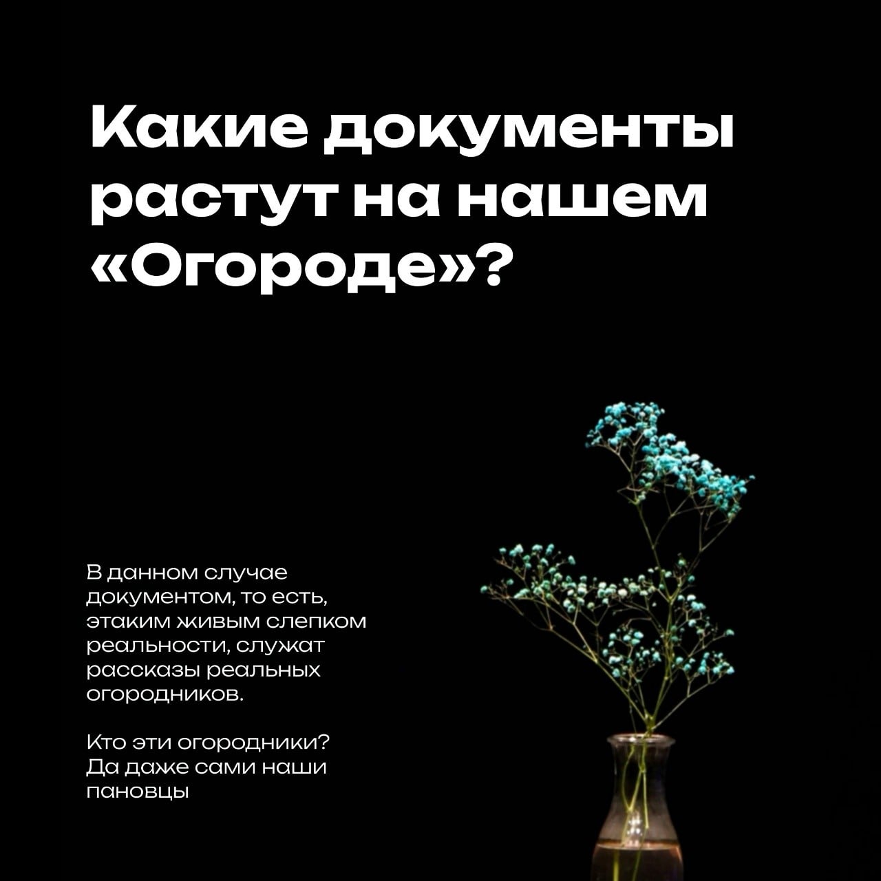 Спектакль «Огород» покажет истории реальных огородников