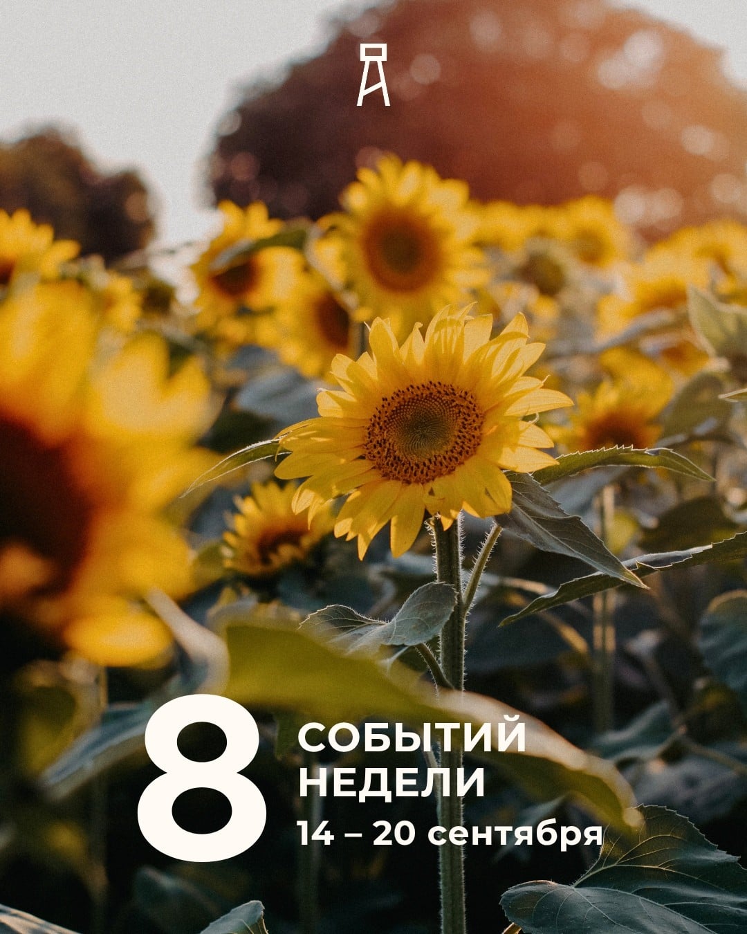 События недели в Краснодаре: 14―20 сентября