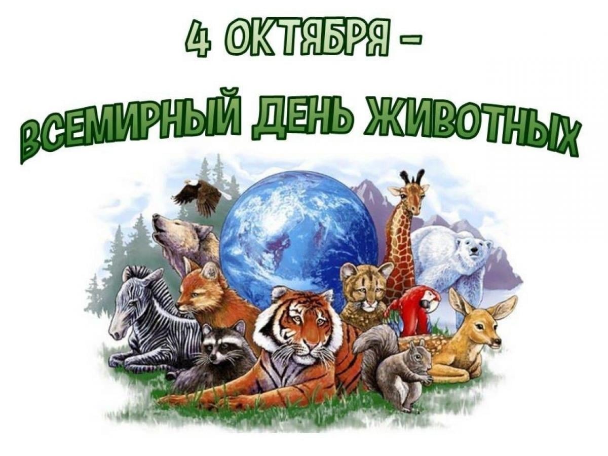 ‼РУБРИКА "ВНИМАНИЕ! КОНКУРС!"