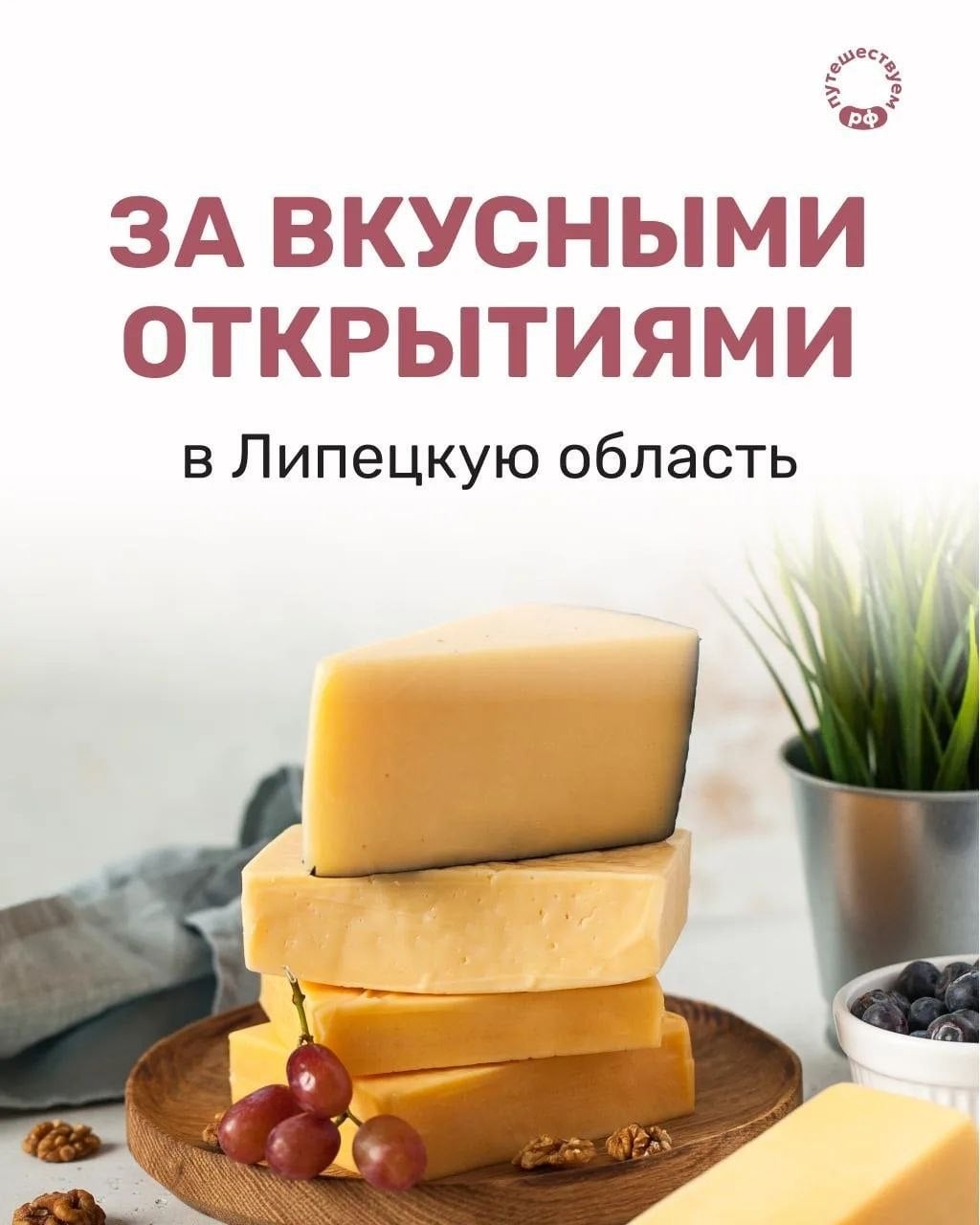 В Липецкой области — вкусно!
