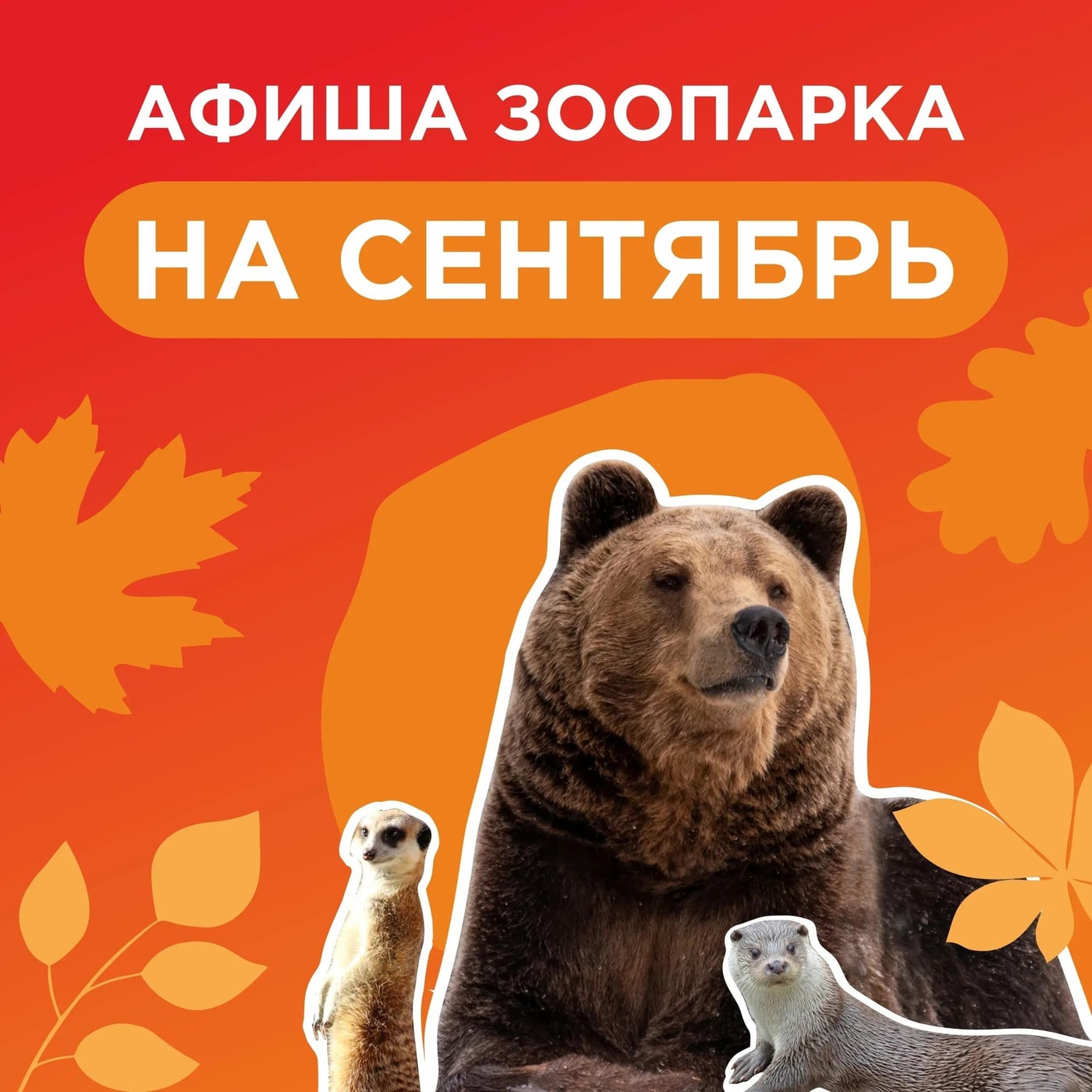 Концерт: трио «Дежавю»