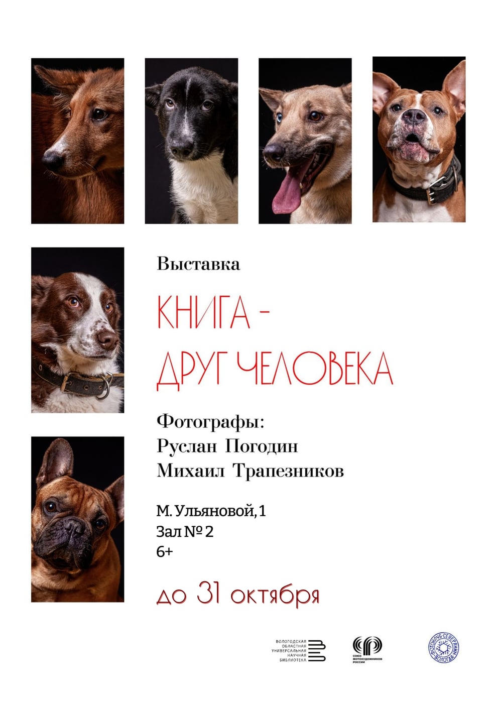 «Книга - друг человека»