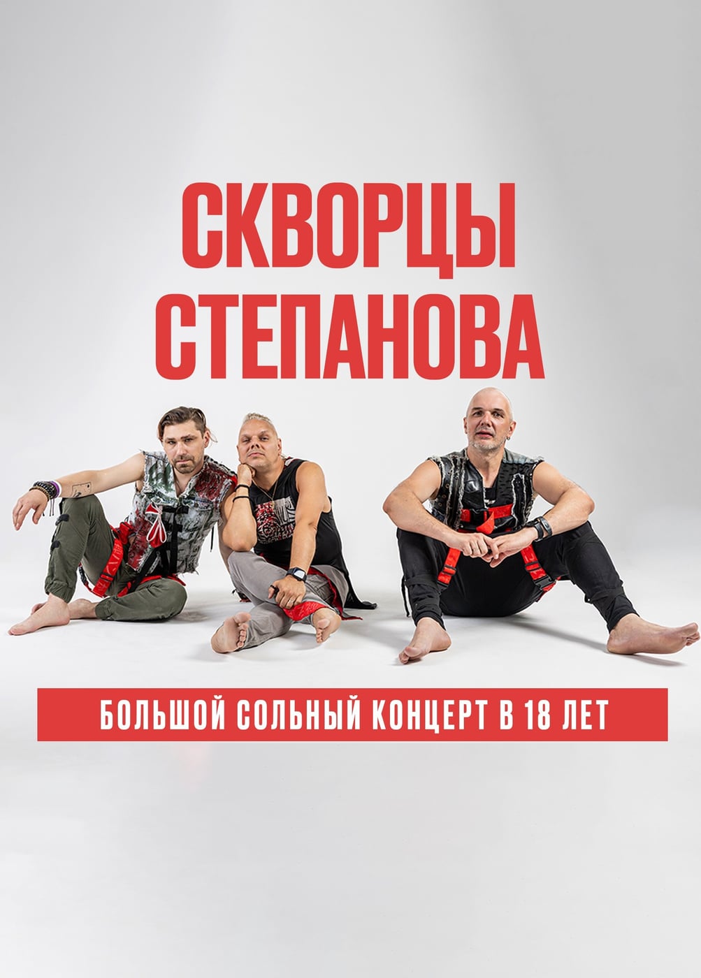 Скворцы Степанова. 18 лет