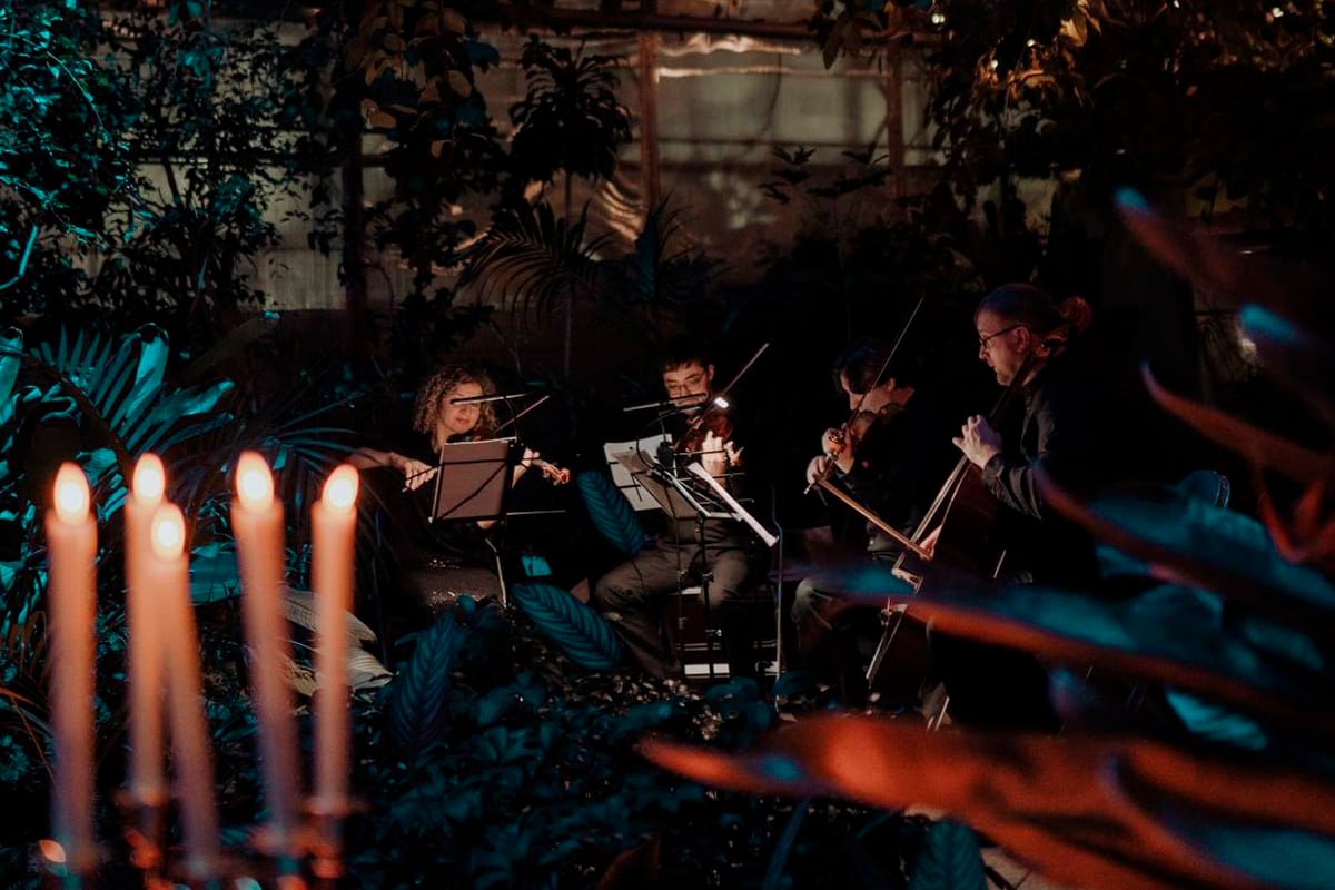 Магия свечей. От Вивальди до Jingle Bells в оранжерее