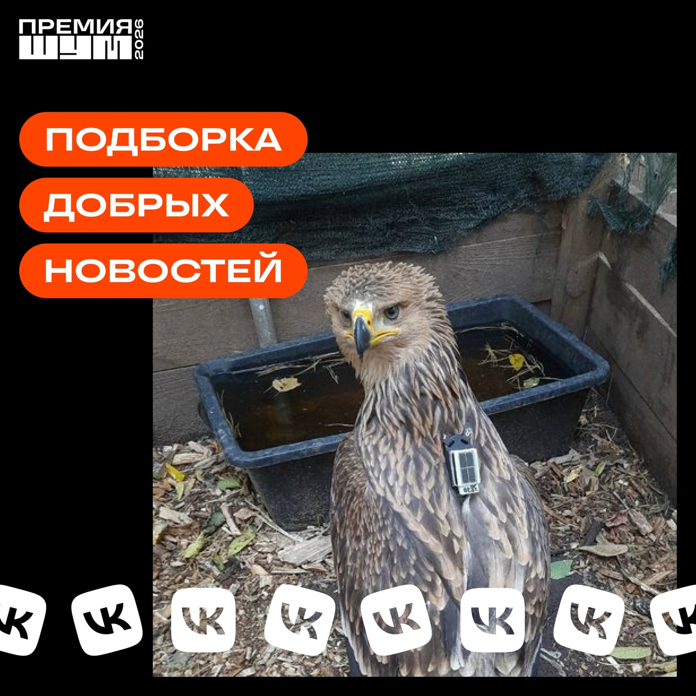 Добрые новости недели