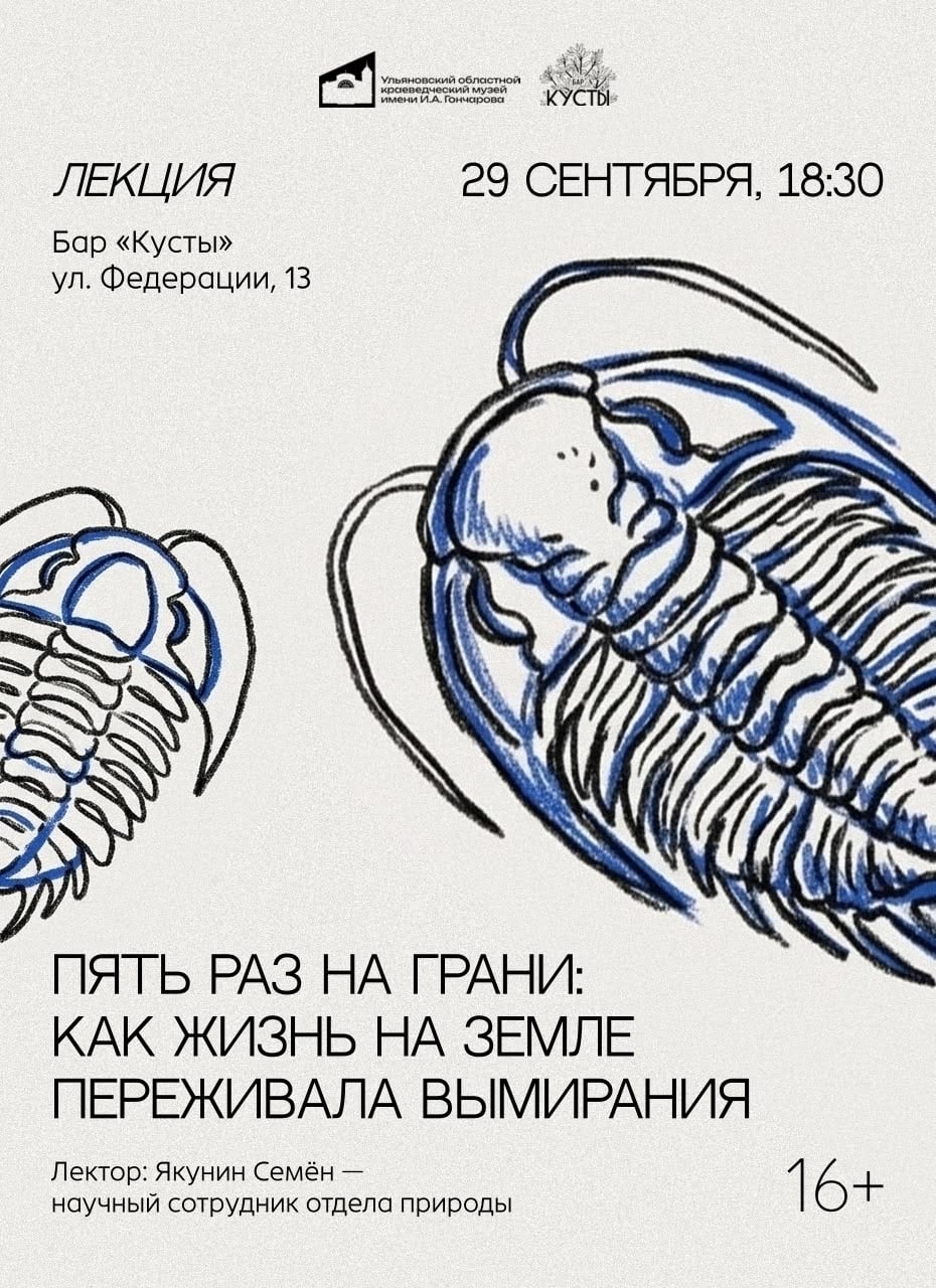 Краеведческий музей продолжает проект «Вне музея»
