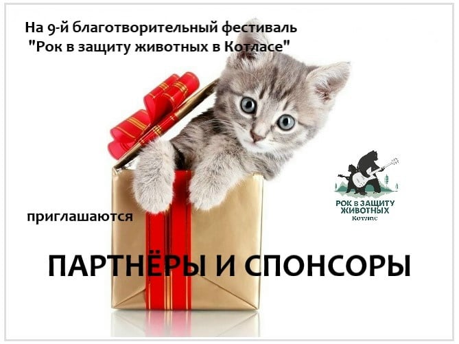 Фестиваль «Рок в защиту животных. Котлас»