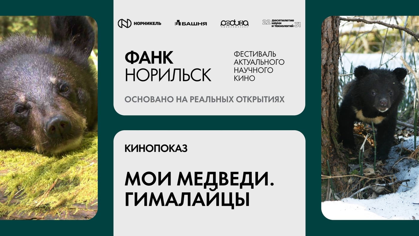 «ФАНК: Норильск»: Основано на реальных открытиях