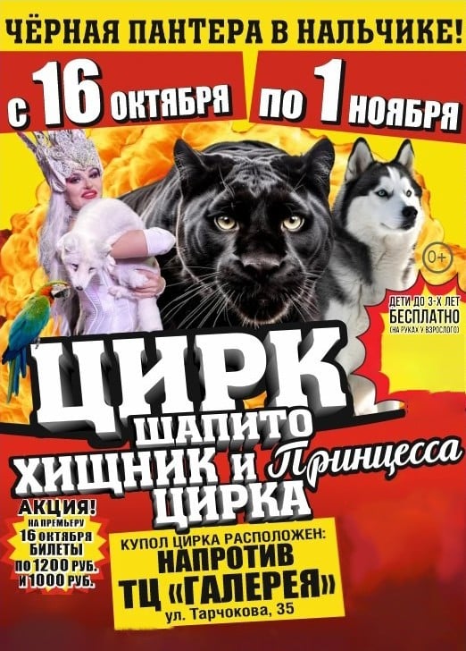 Цирк-шапито «Циркуслэнд». Шоу «Хищник и принцесса цирка», Нальчик