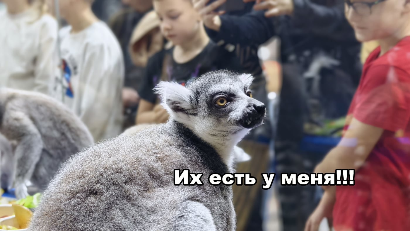 Вы помните, что 20 сентября мы с вами отправляемся в экспедицию по…