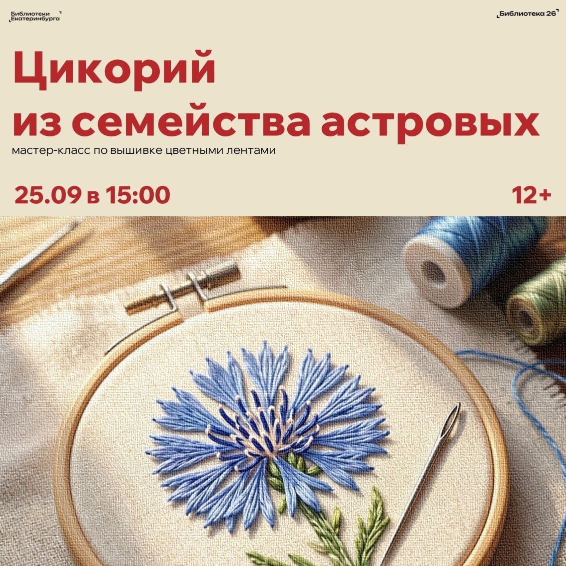 «Цикорий из семейства астровых»