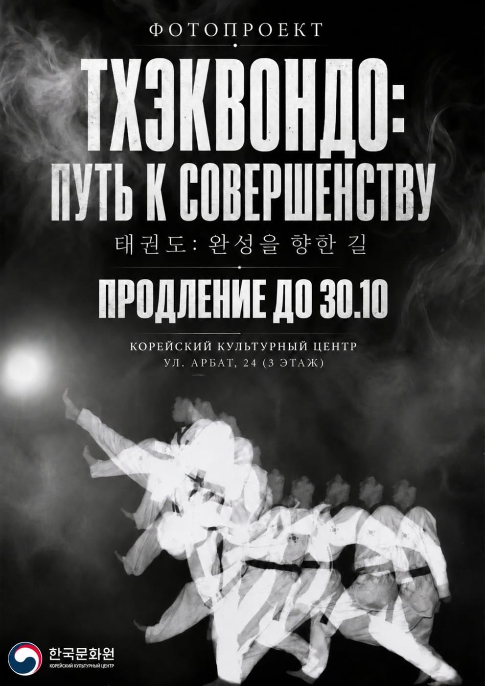 Выставка «Тхэквондо: путь к совершенству»