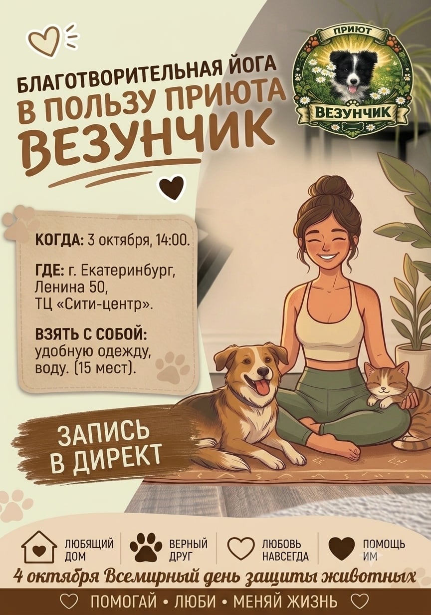 Благотворительная йога в пользу приюта «Везунчик»