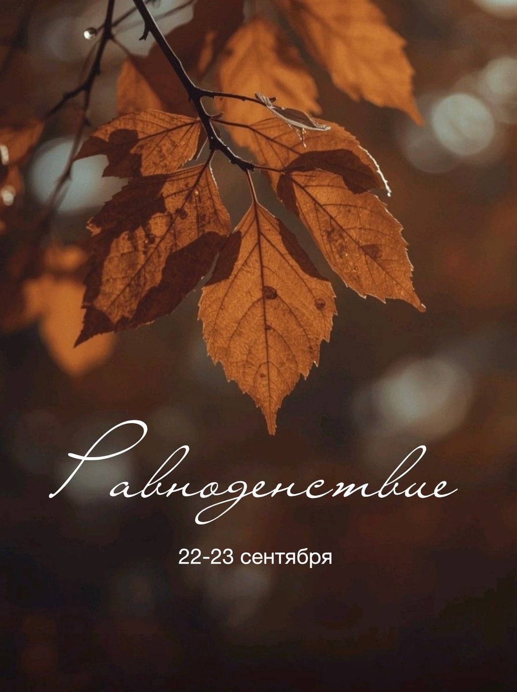 Осеннее Равноденствие 22-23 сентября Время баланса и новых начал