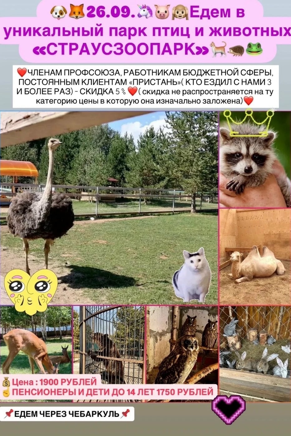 26.09. ЕДЕМ В УНИКАЛЬНЫЙ ПАРК ПТИЦ И ЖИВОТНЫХ "СТРАУСЗООПАРК