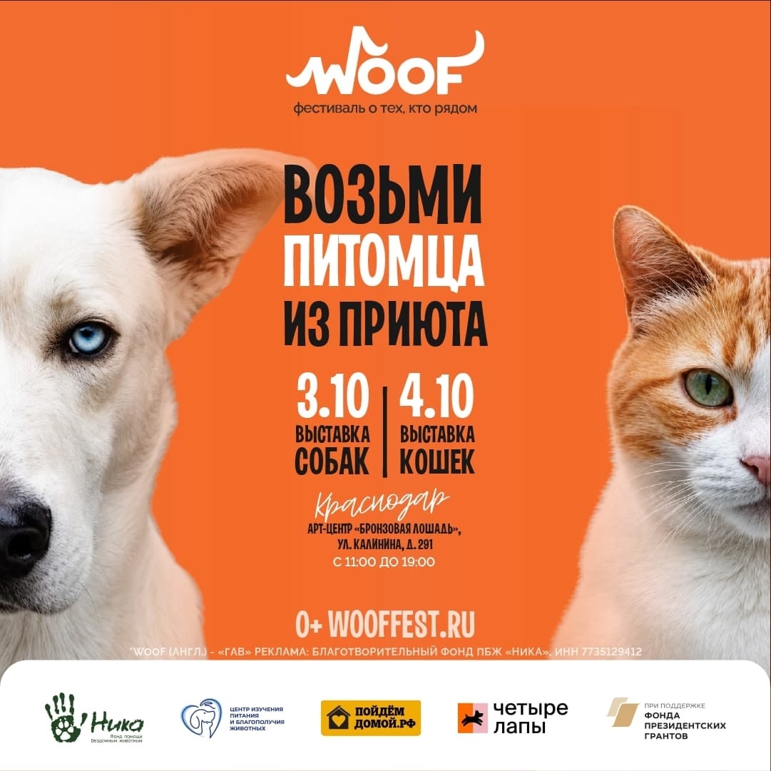 03 и 04 октября мы едем на WOOF FEST в Краснодаре!