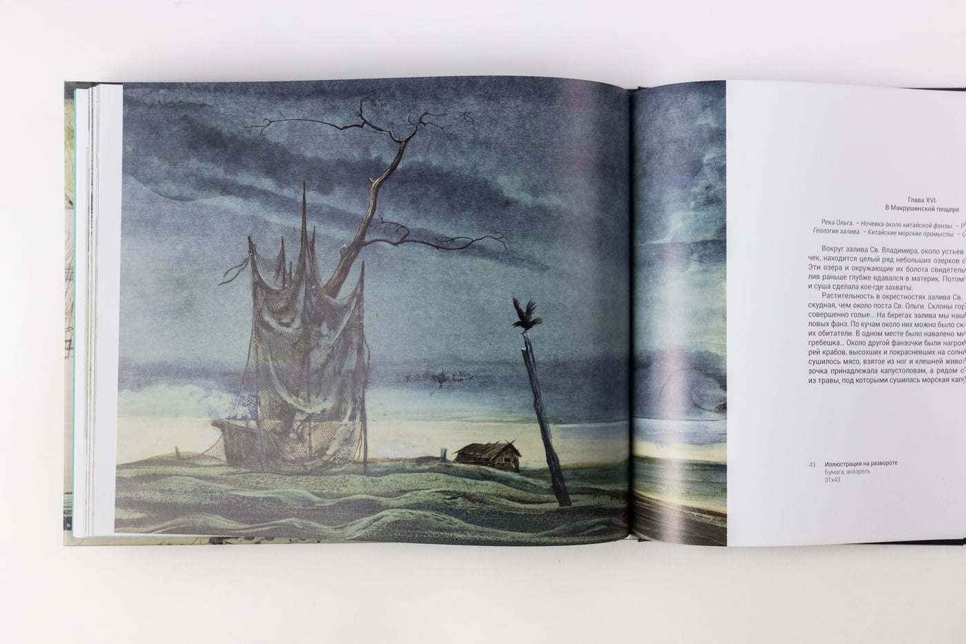 Лекция «Книжная иллюстрация в изданиях В.К. Арсеньева»