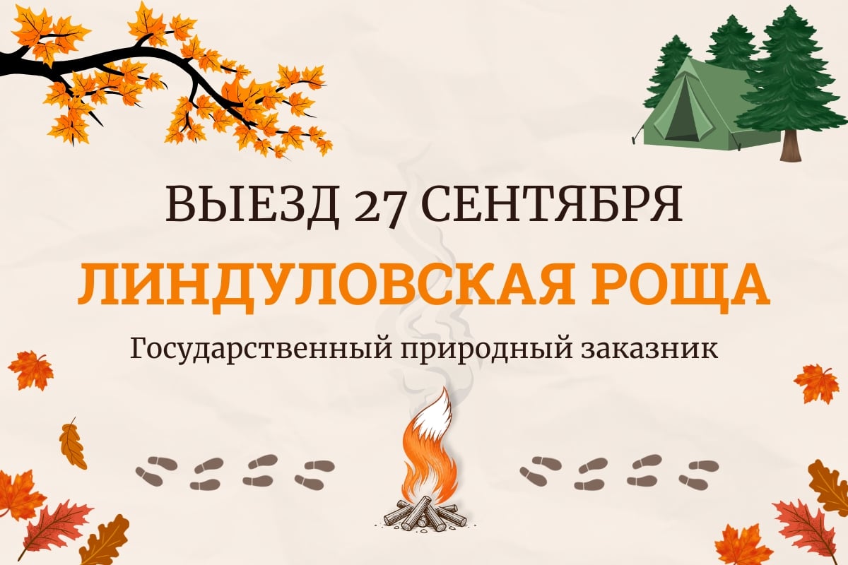 Новый поход выходного дня: Экотропа «Линдуловская роща»!