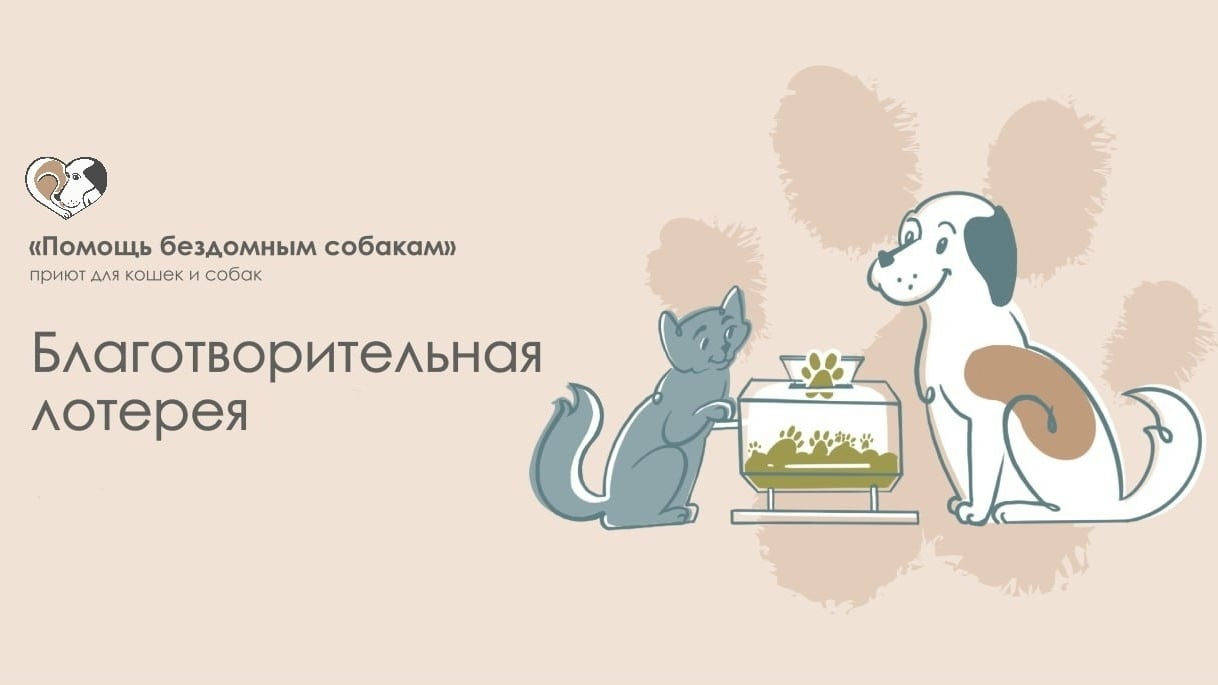 Фестиваль «Люди и Лапы»