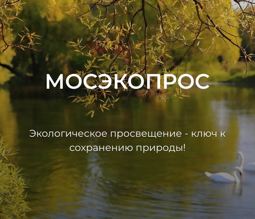 «Цвети, Москва!» — фестиваль, который влюбляет в природу города