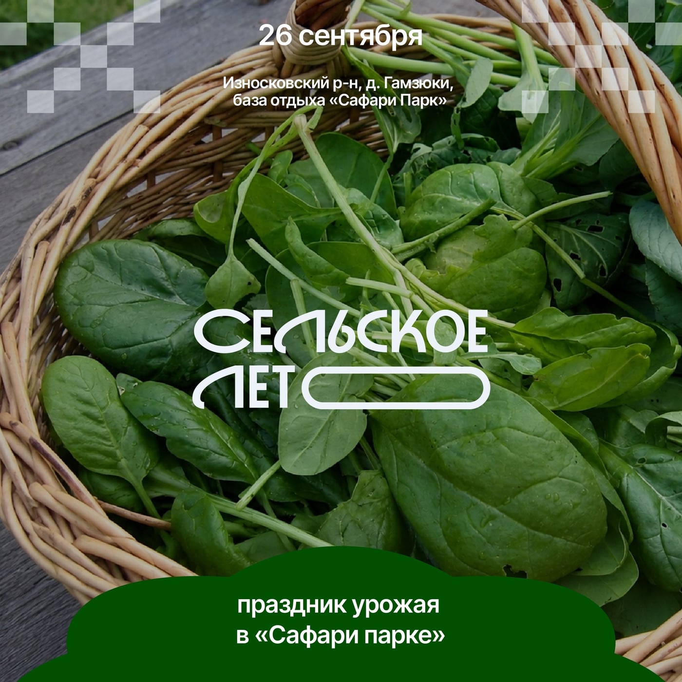 Участник проекта «Сельское лето»: праздник урожая в «Сафари Парке»