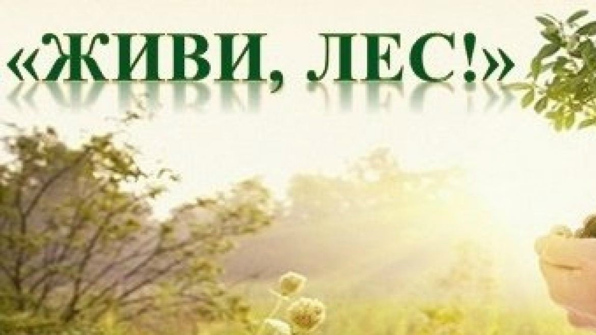 Стартовал конкурс «Живи, лес!»