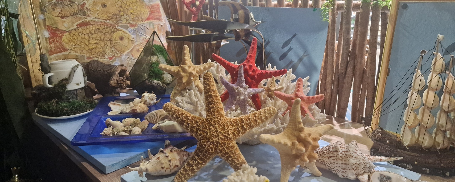Выставка "CORAL  ART"  Мастер-классы